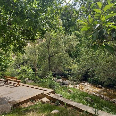 Forest Guest House Mirzakishlak Εξωτερικό φωτογραφία
