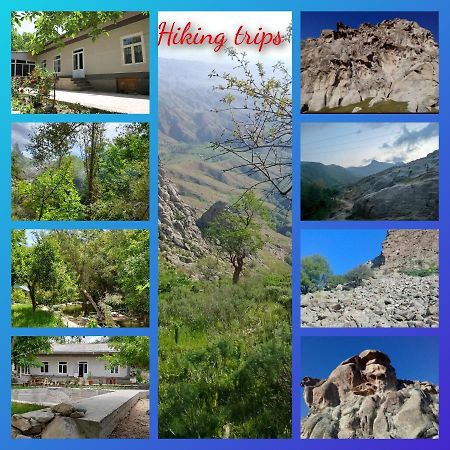 Forest Guest House Mirzakishlak Εξωτερικό φωτογραφία