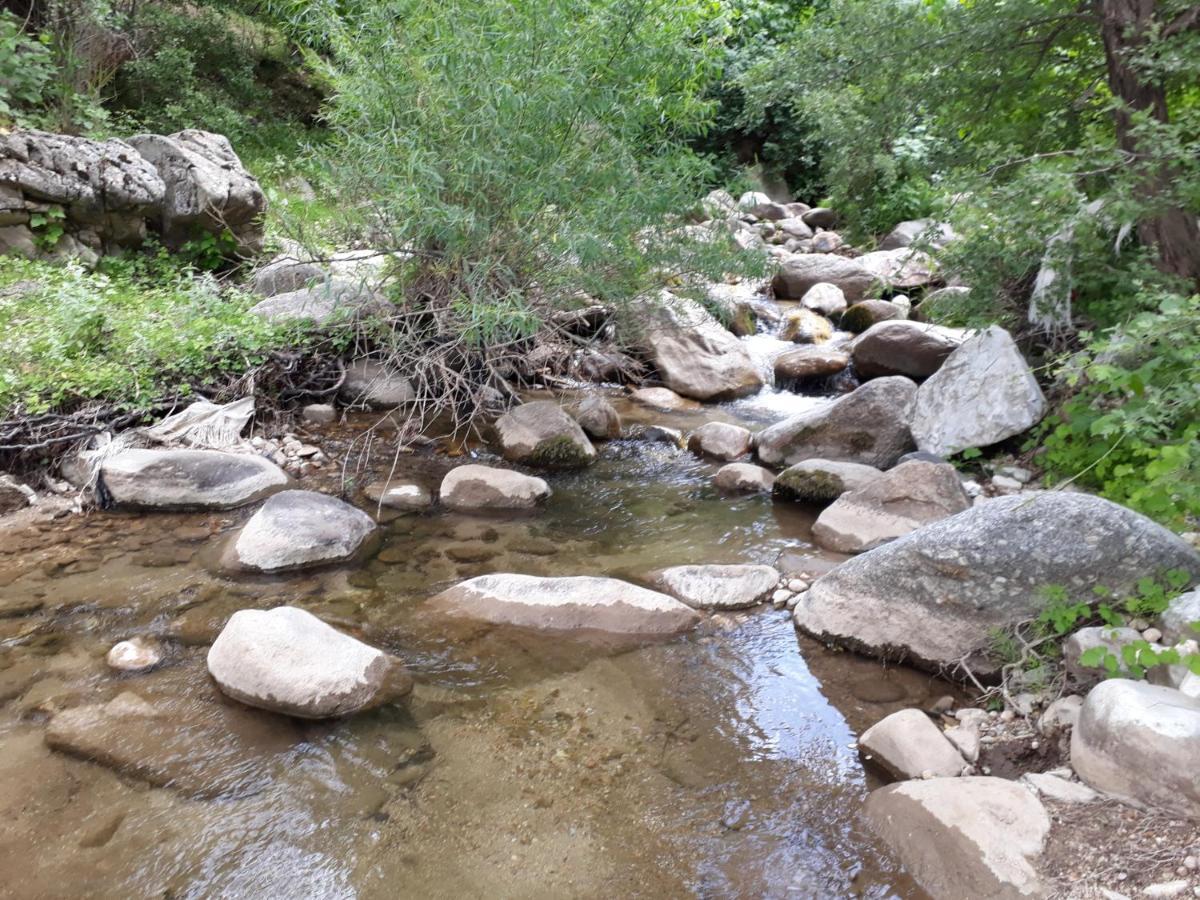 Forest Guest House Mirzakishlak Εξωτερικό φωτογραφία