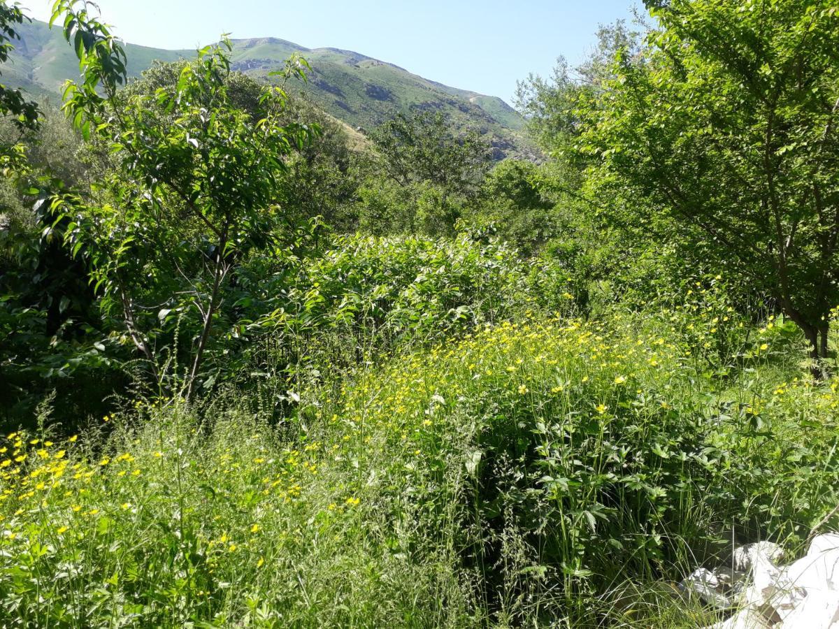 Forest Guest House Mirzakishlak Εξωτερικό φωτογραφία