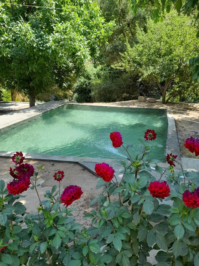 Forest Guest House Mirzakishlak Εξωτερικό φωτογραφία