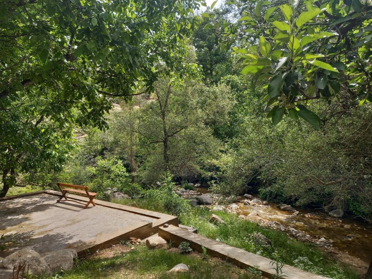 Forest Guest House Mirzakishlak Εξωτερικό φωτογραφία