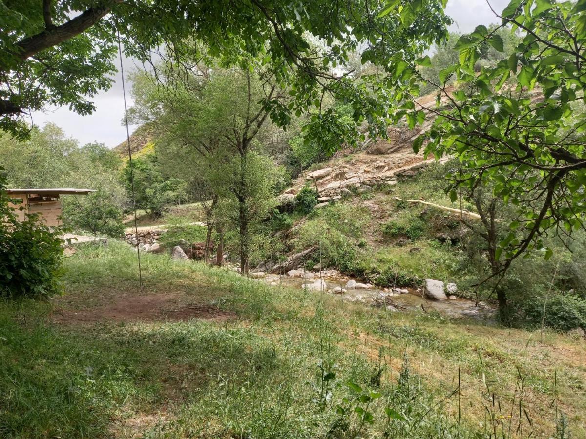 Forest Guest House Mirzakishlak Εξωτερικό φωτογραφία