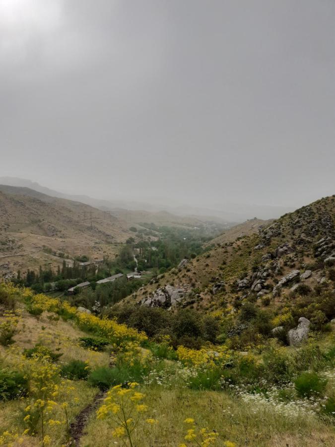 Forest Guest House Mirzakishlak Εξωτερικό φωτογραφία