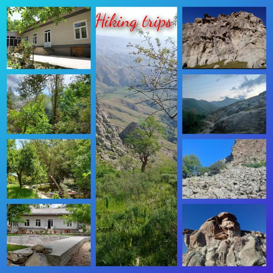 Forest Guest House Mirzakishlak Εξωτερικό φωτογραφία