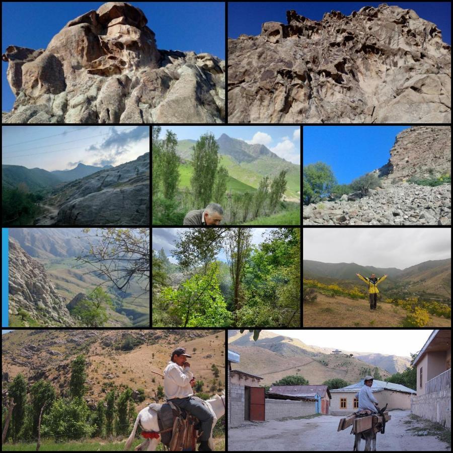 Forest Guest House Mirzakishlak Εξωτερικό φωτογραφία