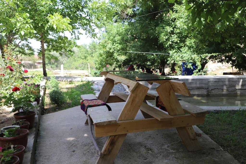 Forest Guest House Mirzakishlak Εξωτερικό φωτογραφία