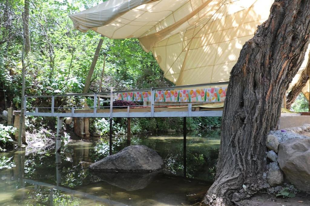 Forest Guest House Mirzakishlak Εξωτερικό φωτογραφία
