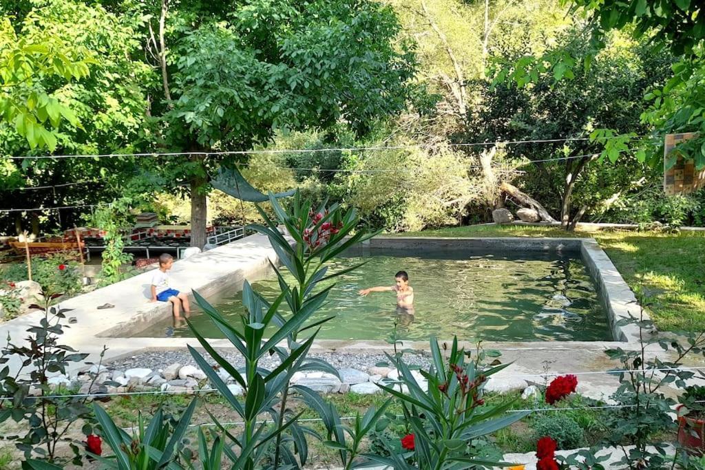 Forest Guest House Mirzakishlak Εξωτερικό φωτογραφία